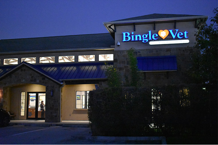 Bingle Vet Clinics Launches Veterinary Practice Franchise Program