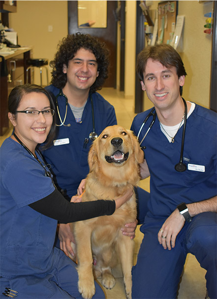 Bingle Vet Clinic doctors and nursers smiling with a patient